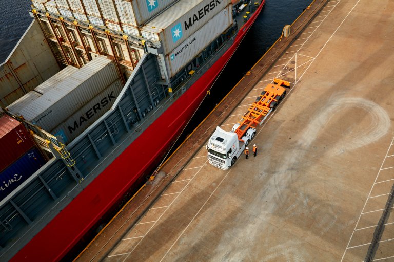 Weg- en zeevracht voor de bosbouw