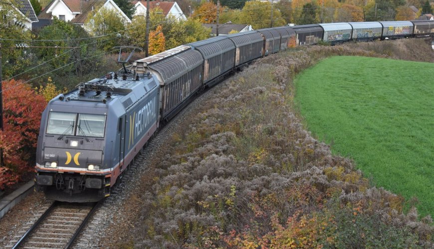 Train on a railway surrounded by houses, bushes and green grass